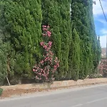 Coqueto Apartamento